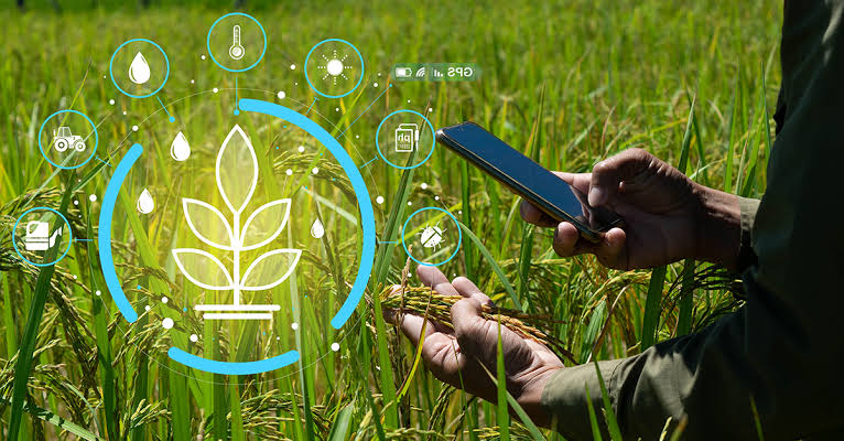 Smart Farming: Masa Depan Pertanian Berbasis Teknologi