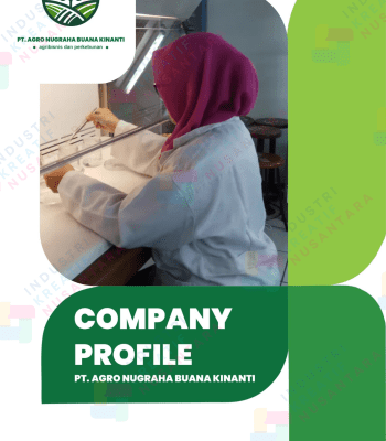 Jasa Pembuatan Desain Company Profile